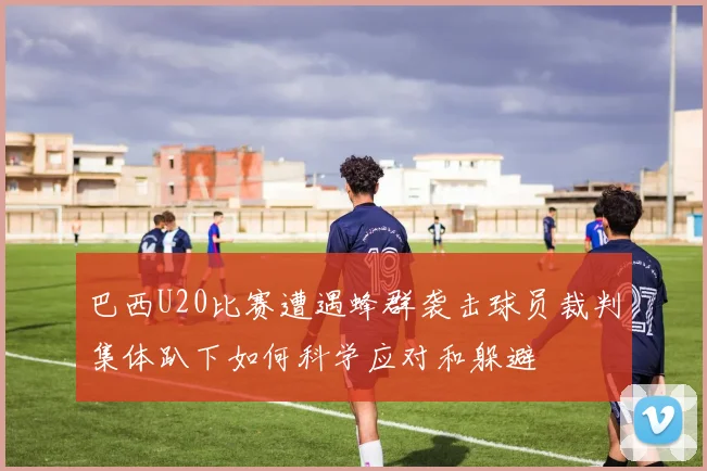 巴西U20比赛遭遇蜂群袭击球员裁判集体趴下如何科学应对和躲避